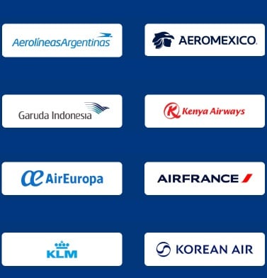 Alliance SkyTeam